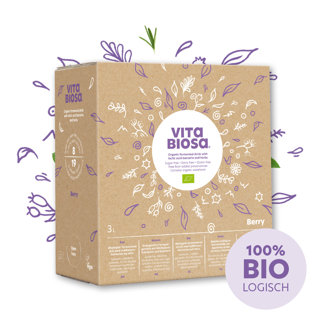 Kräuterfermentgetränk Vita Biosa Beeren 3 L Flasche Neues Design Kräuter Pflanzen