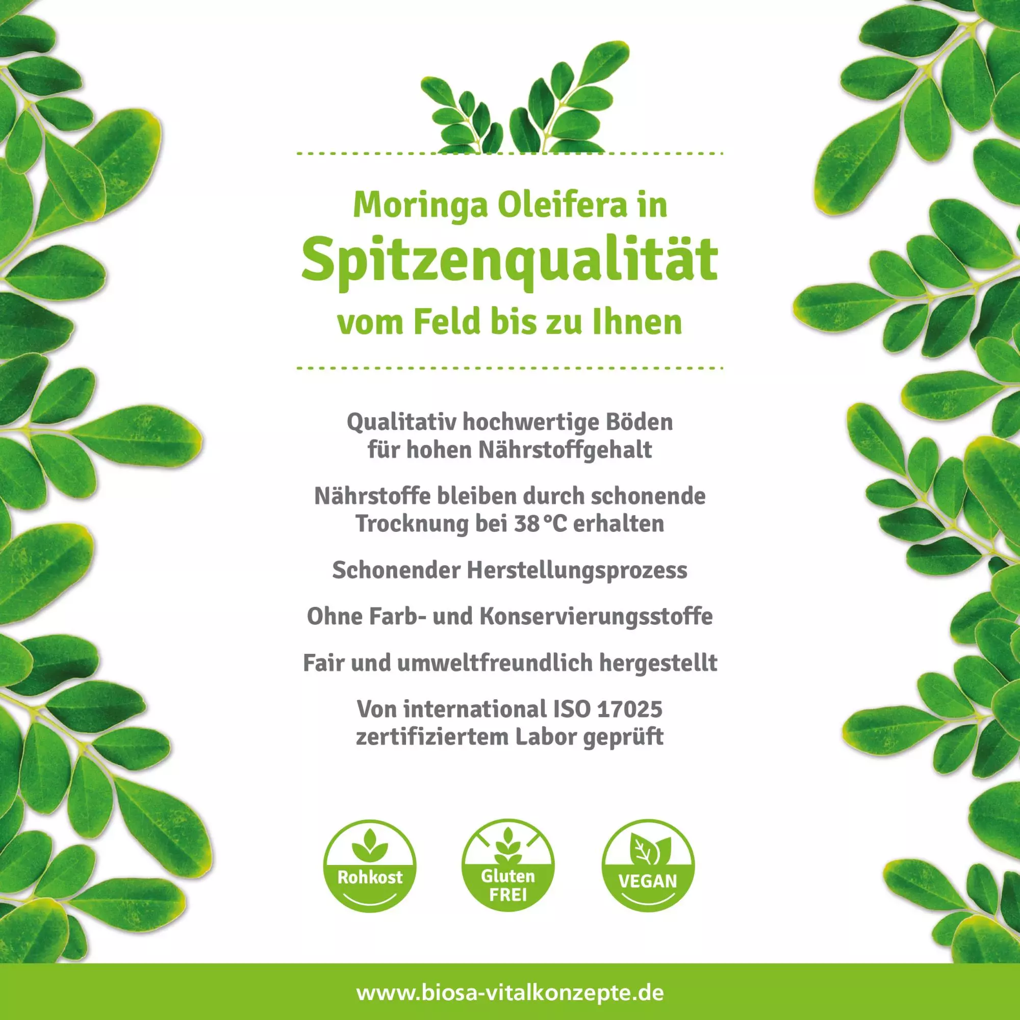 moringa öl kaufen behenöl 250ml qualität