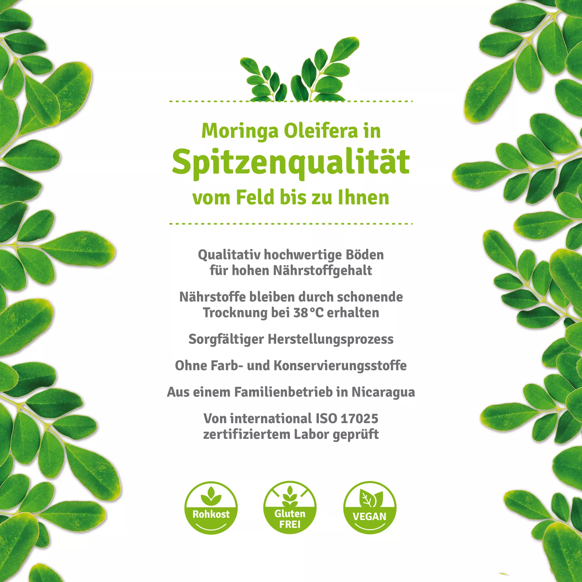 moringa öl kaufen behenöl 250ml qualität moringa öl kaufen behenöl 250ml qualität