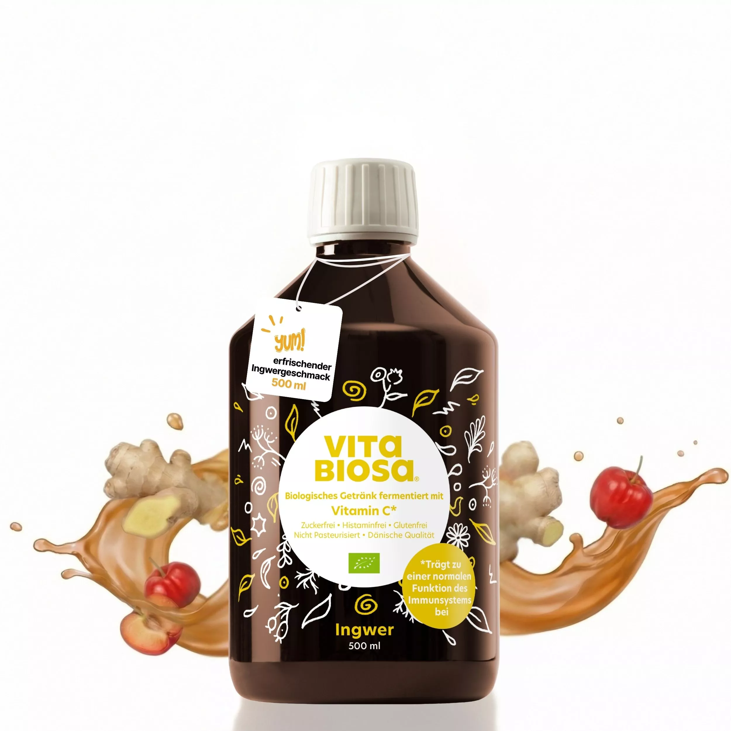 Vita-Biosa-Ingwer-500ml-Milchsaeurebakterien-kaufen-front