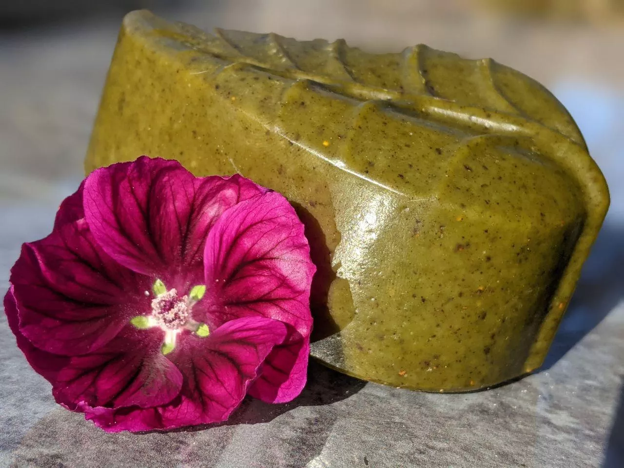Moringa_öl_pulver_seife_front Moringa_öl_pulver_seife_front