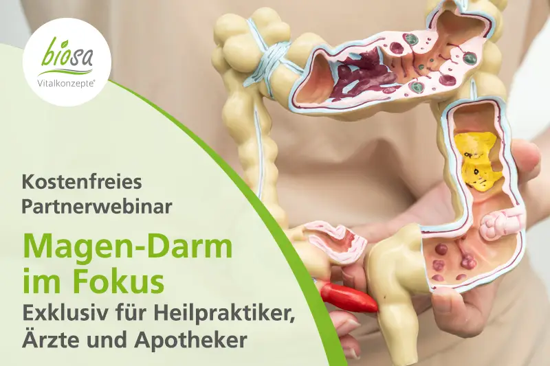 Teaserbild zum Online-Seminar zum Thema "Magen-Darm für Therapeuten" Teaserbild zum Online-Seminar zum Thema "Magen-Darm für Therapeuten"