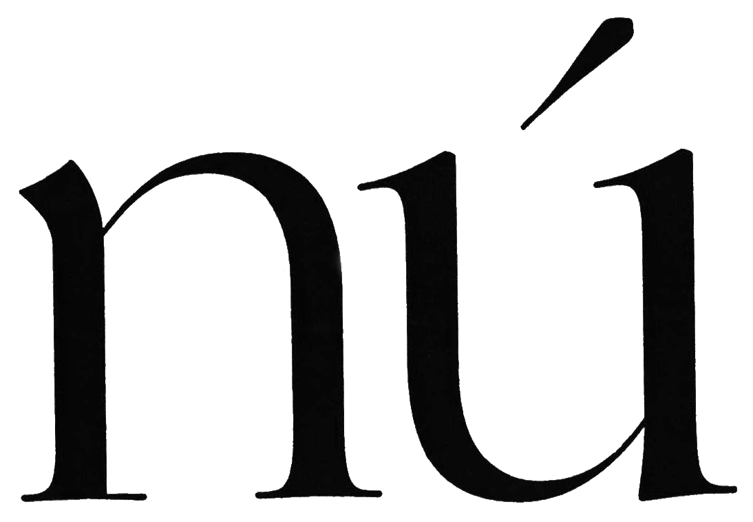 ICEIS Germany GmbH