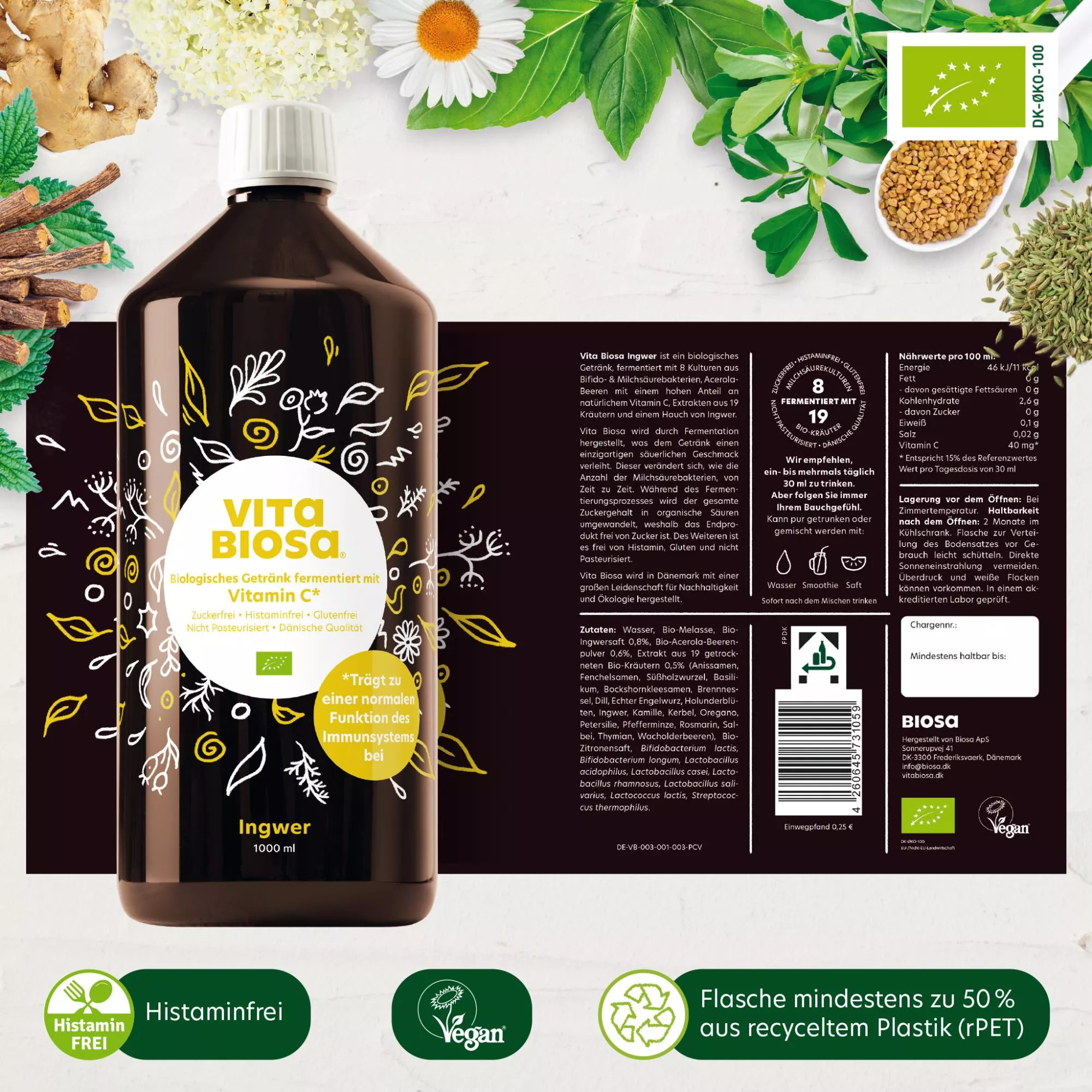 Vita_Biosa_Ingwer_mit_Vitamin-C_1L_Bag-in-Box_Milchsaeurebakterien_kaufen_Etikett