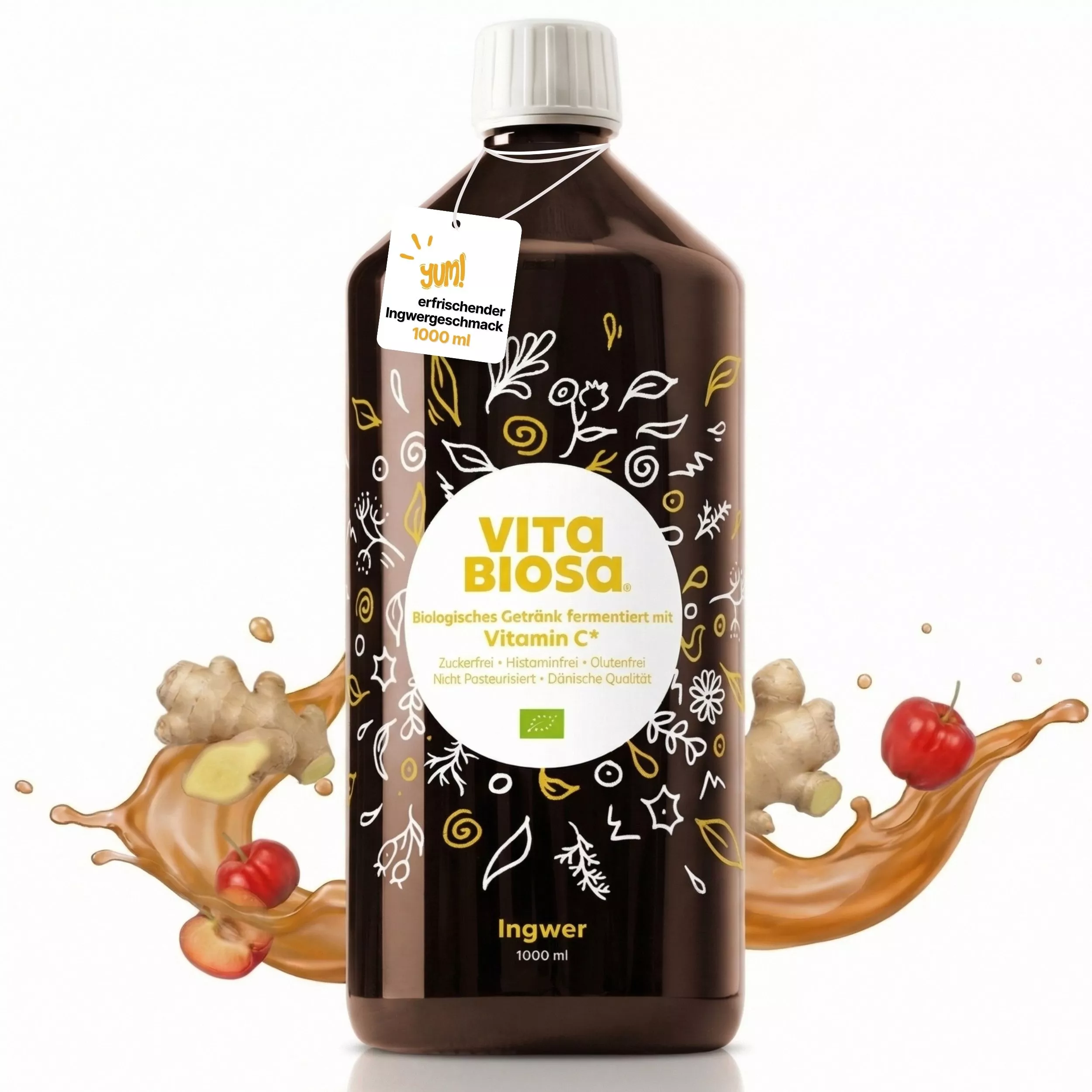 Vita_Biosa_Ingwer_mit_Vitamin-C_1L_Bag-in-Box_Milchsaeurebakterien_kaufen_front Vita_Biosa_Ingwer_mit_Vitamin-C_1L_Bag-in-Box_Milchsaeurebakterien_kaufen_front