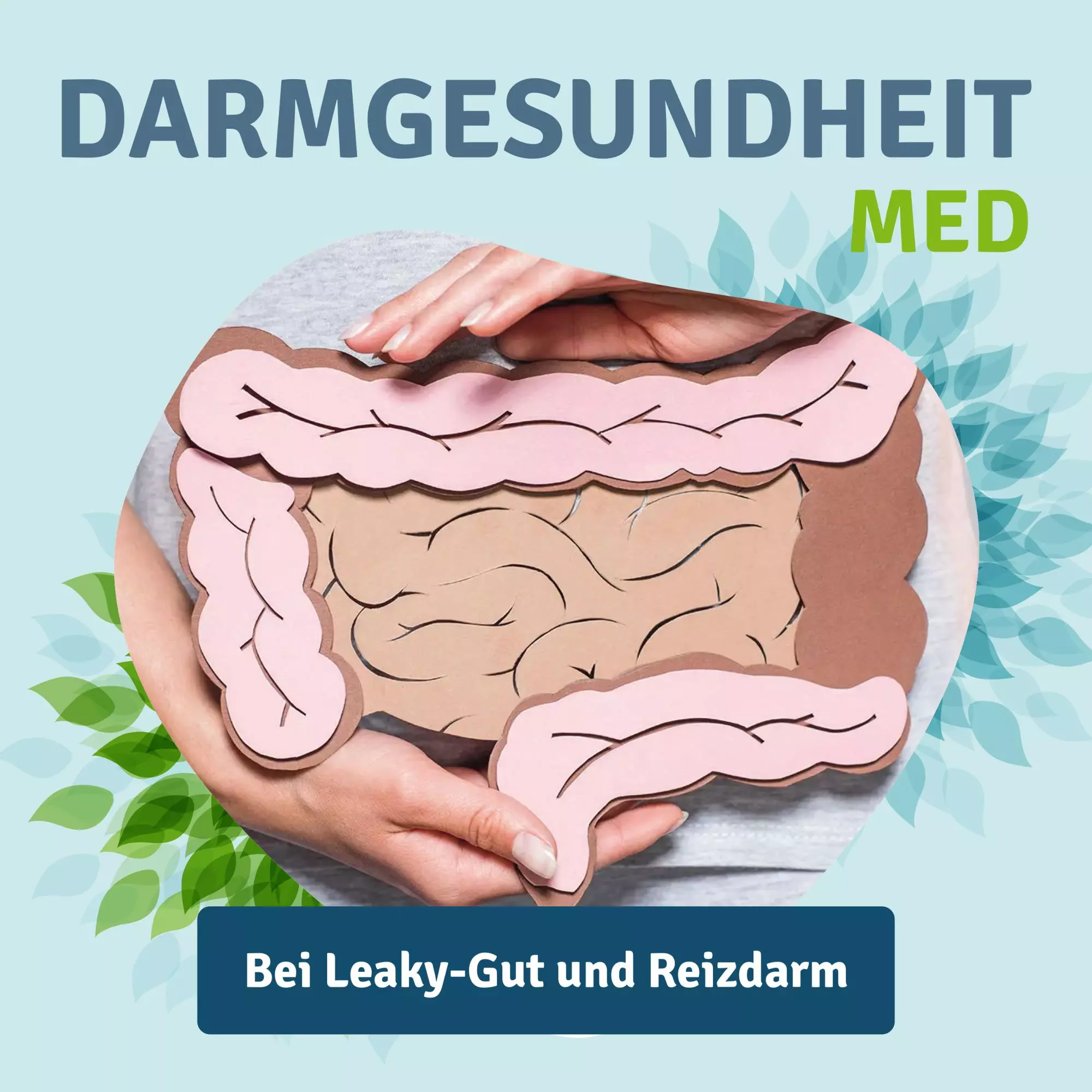 Zeolith-Kapseln_kaufen_Darmgesundheit_Vitalstoffwerk_MED_200St_Leaky-Gut