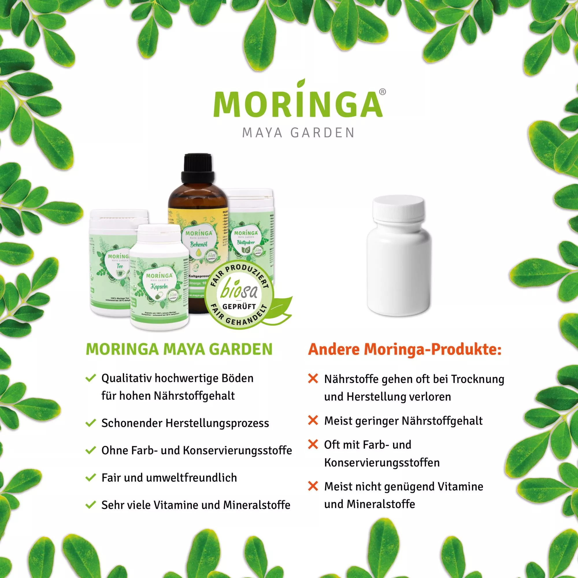 Moringa_Kapseln_kaufen_140St_Moringa_Maya_Garden_Vergleich Moringa_Kapseln_kaufen_140St_Moringa_Maya_Garden_Vergleich