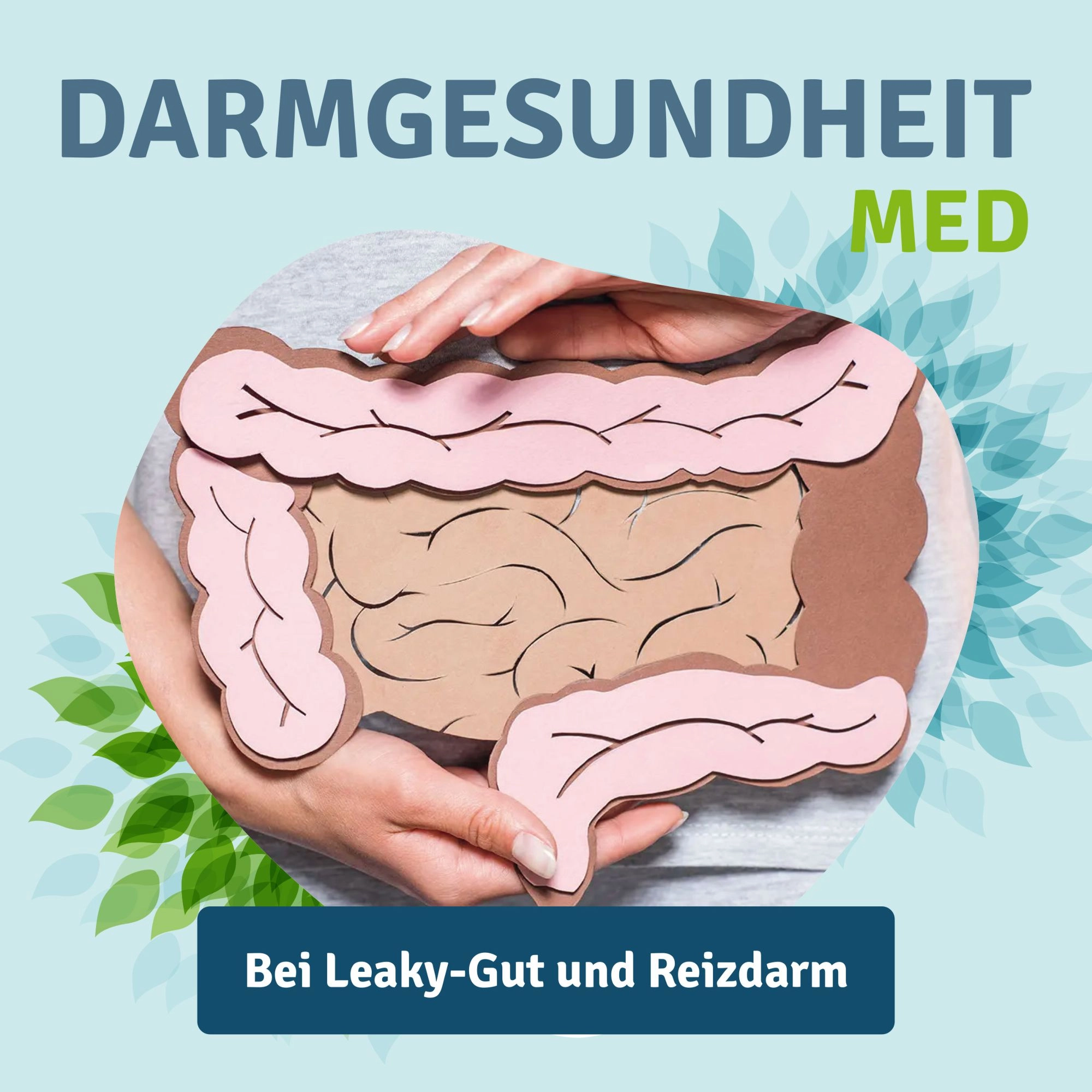 Zeolith_Pulver_kaufen_Darmgesundheit_Vitalstoffwerk_MED_400g_Reizdarm, Darm, Darmmodell, Barrierefrei, Leaky-Gut, Reizdarm