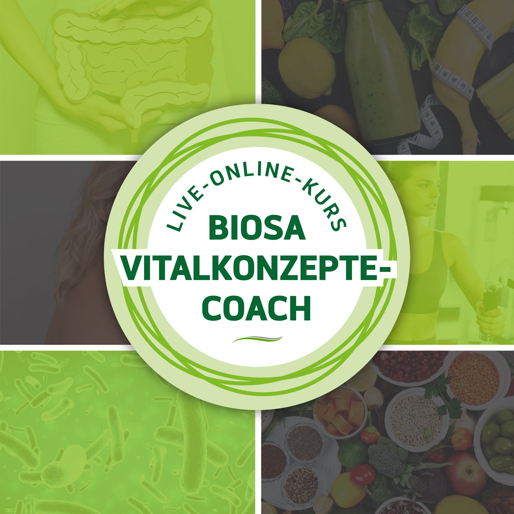 Biosa_Vitalkonzepte-Coach_Live_Online_Kurs_2 Biosa_Vitalkonzepte-Coach_Live_Online_Kurs_2, Person, Gesicht, Kopf
