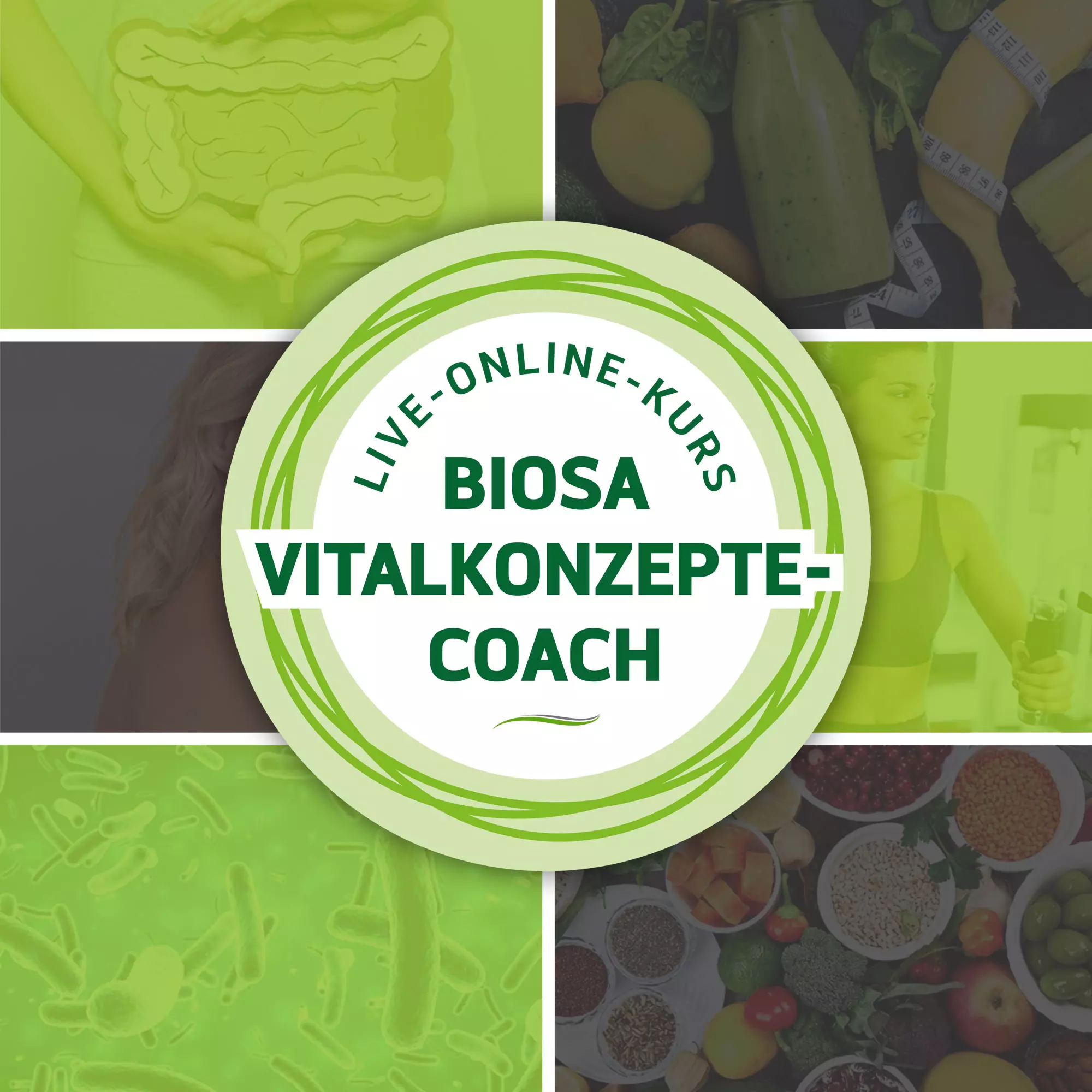Biosa_Vitalkonzepte-Coach_Live_Online_Kurs_2, Person, Gesicht, Kopf