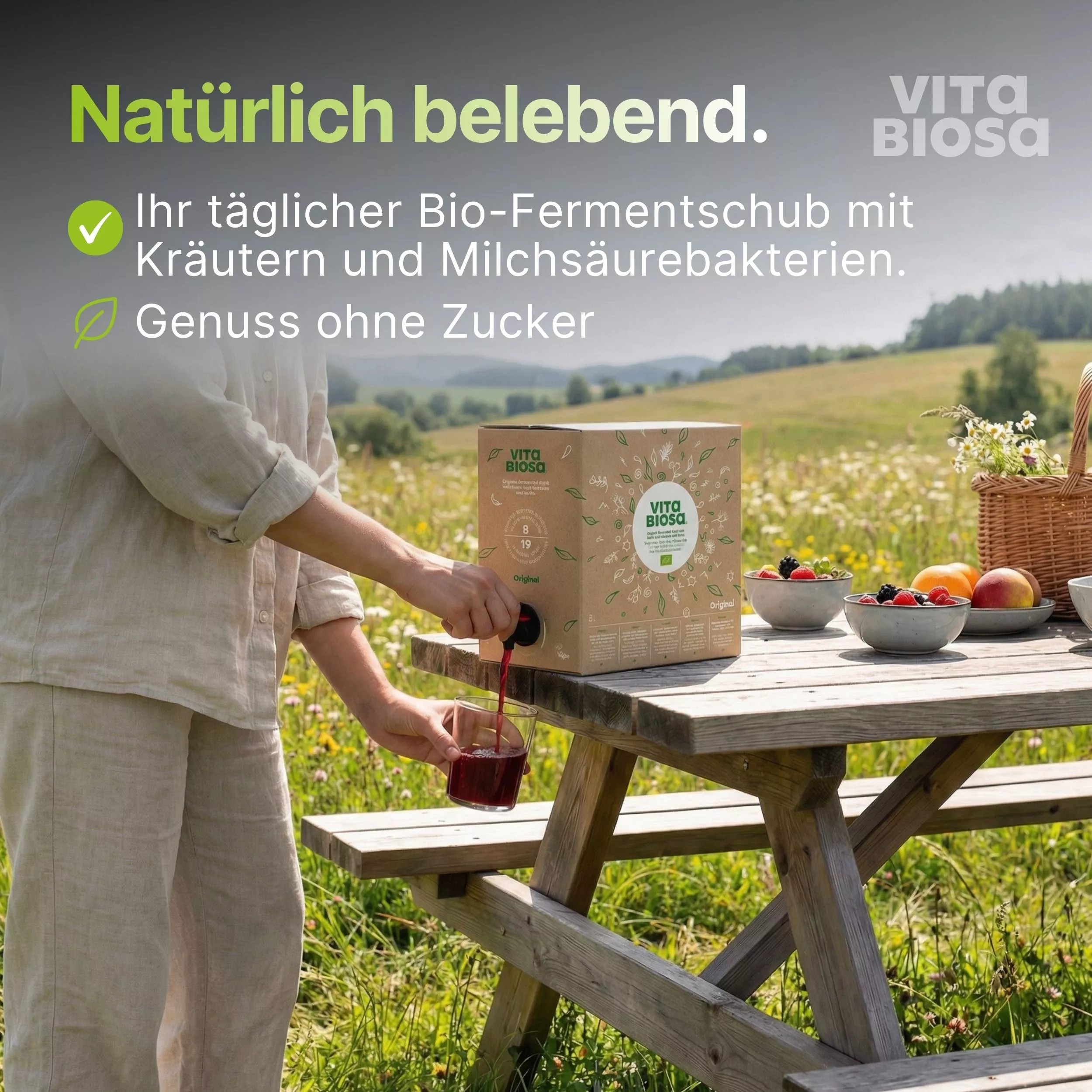 Vita Biosa Original 3L Bag-in-Box Milchsaeurebakterien kaufen belebend