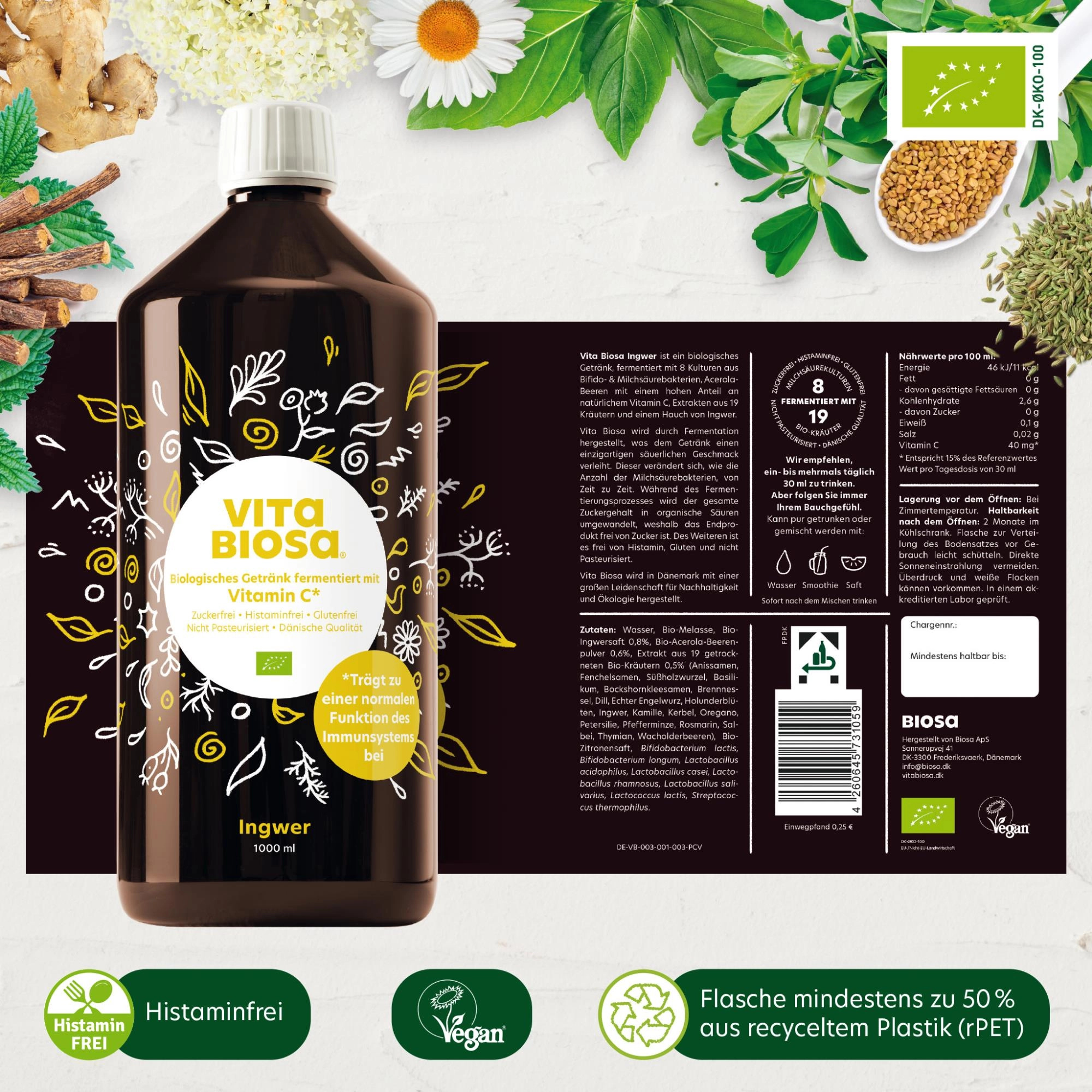 Ingwer, Fermentiertes Getränk, Biologisch, 1000 ml, Vita Biosa