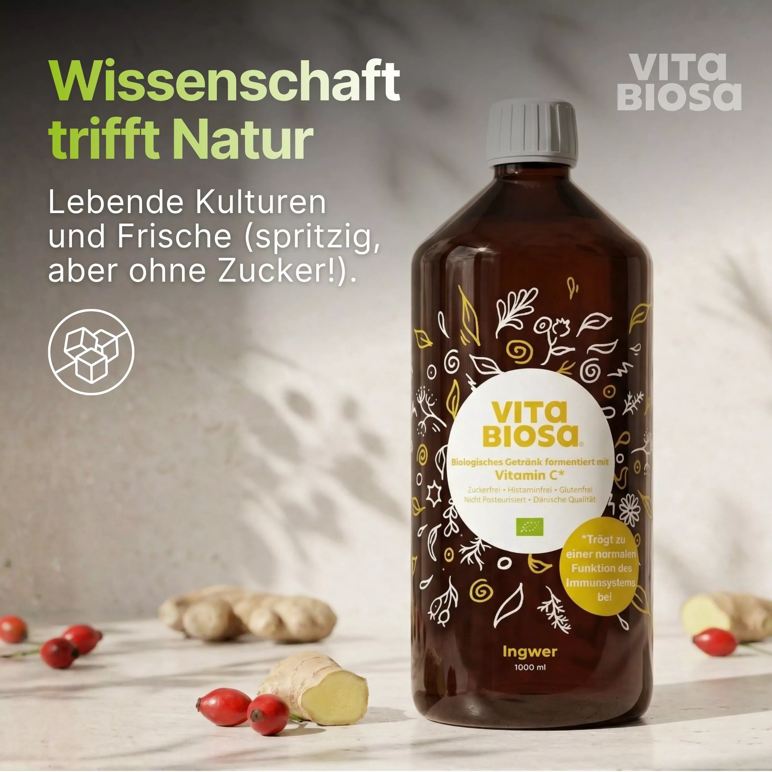 Vita_Biosa_Ingwer_mit_Vitamin-C_1L_Bag-in-Box_Milchsaeurebakterien_kaufen_Wissenschaft
