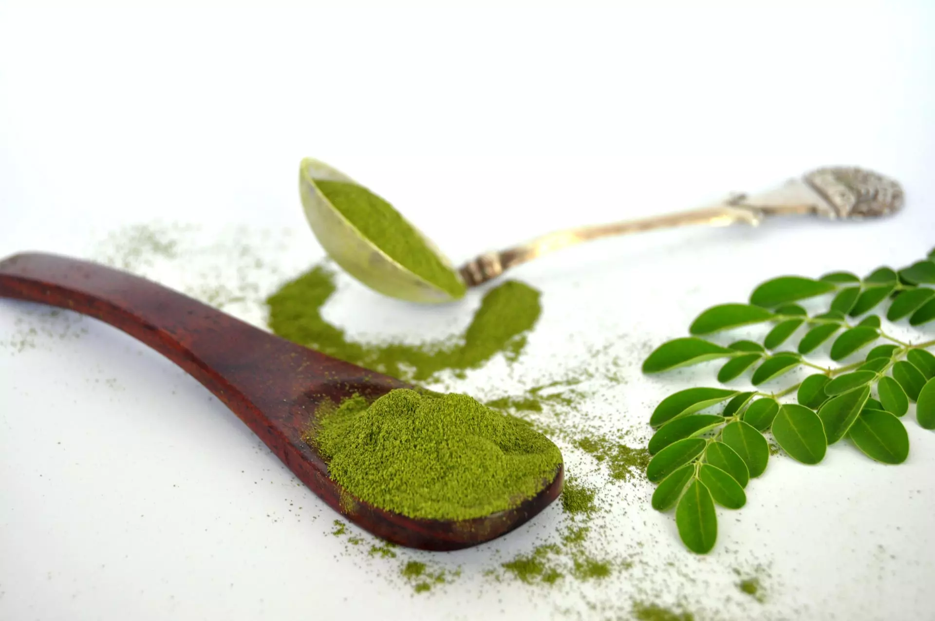 Moringa Pulver kaufen Blattpulver 120g Loeffel
