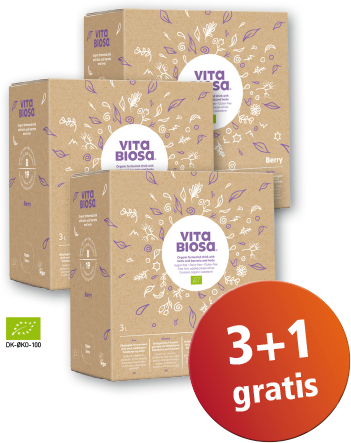 Kräuterfermentgetränk Vita Biosa Beeren 3 L Flasche Neues Design Kräuter Pflanzen
