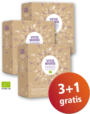 Kräuterfermentgetränk Vita Biosa Beeren 3 L Flasche Neues Design Kräuter Pflanzen